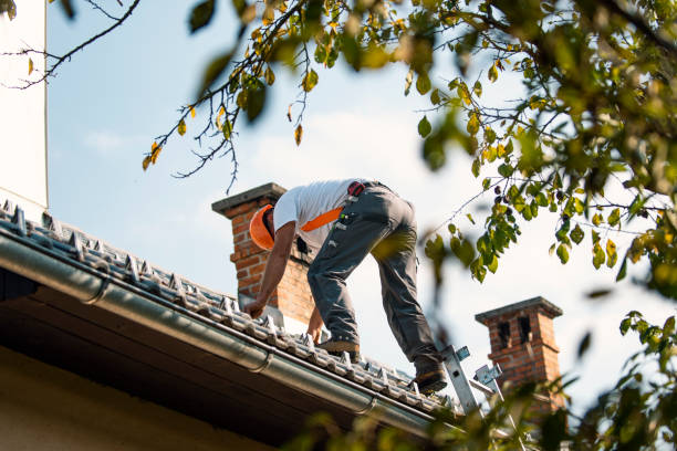 Best Flat Roof Repair Services  in Driggs, ID