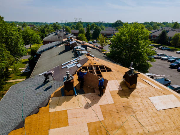 Roof Gutter Cleaning in Driggs, ID