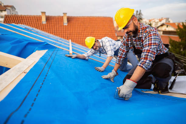 Best Emergency Roof Repair  in Driggs, ID
