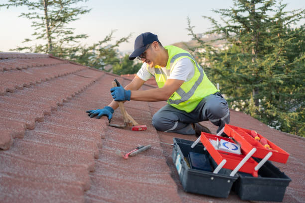 Best Storm Damage Roof Repair  in Driggs, ID
