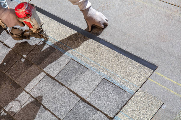 Best Roof Inspection Near Me  in Driggs, ID